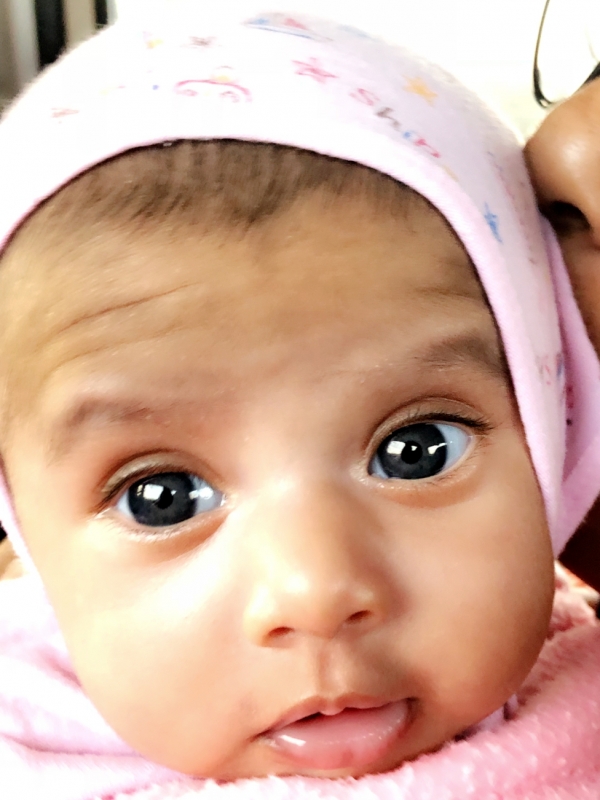 Arianna