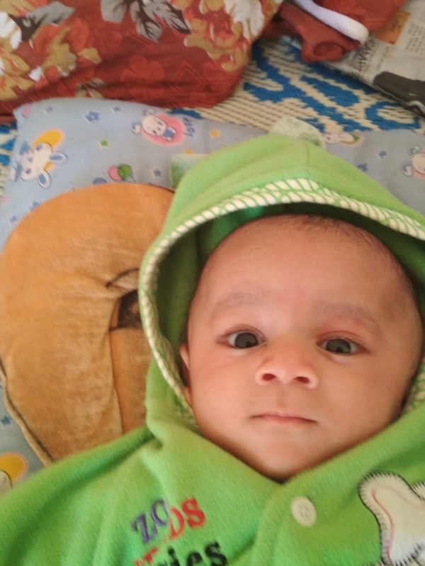 Chintu