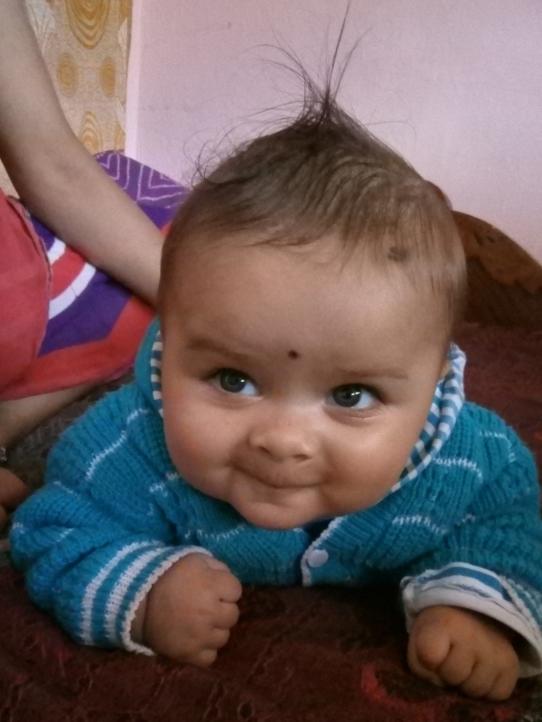 Veer