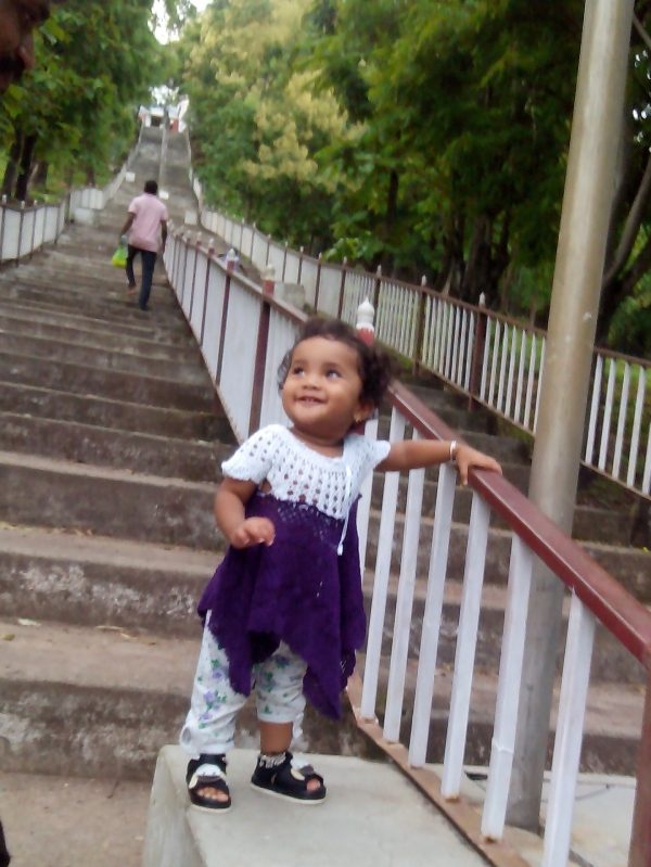 Ovee