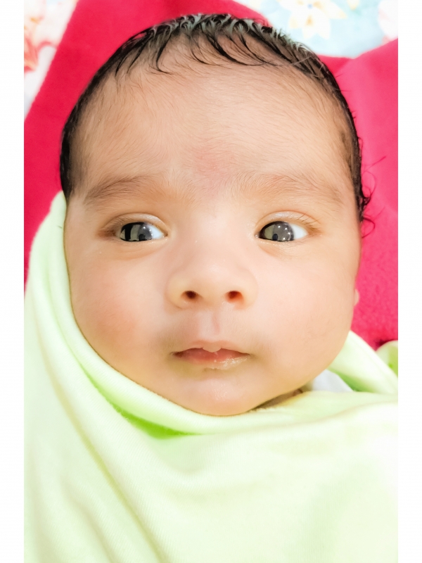 Ziaan