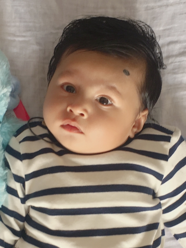 Arman