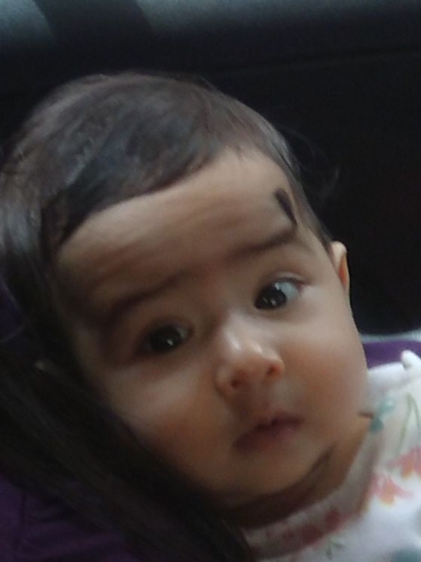 Sehaj