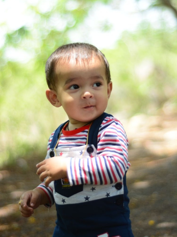 Vivan