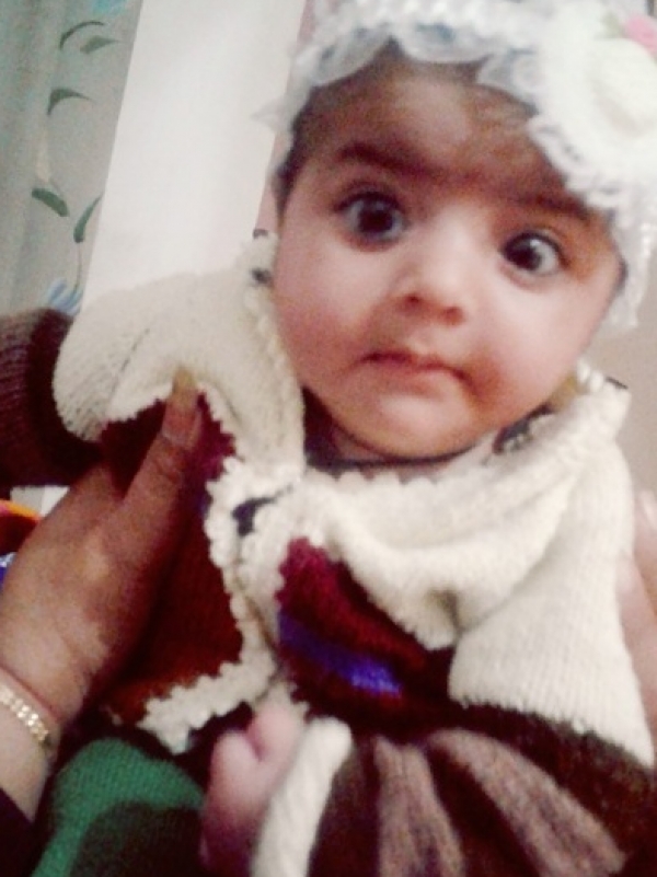 Vidhu