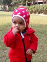 Nisin