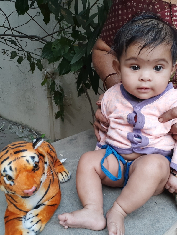 Daksha