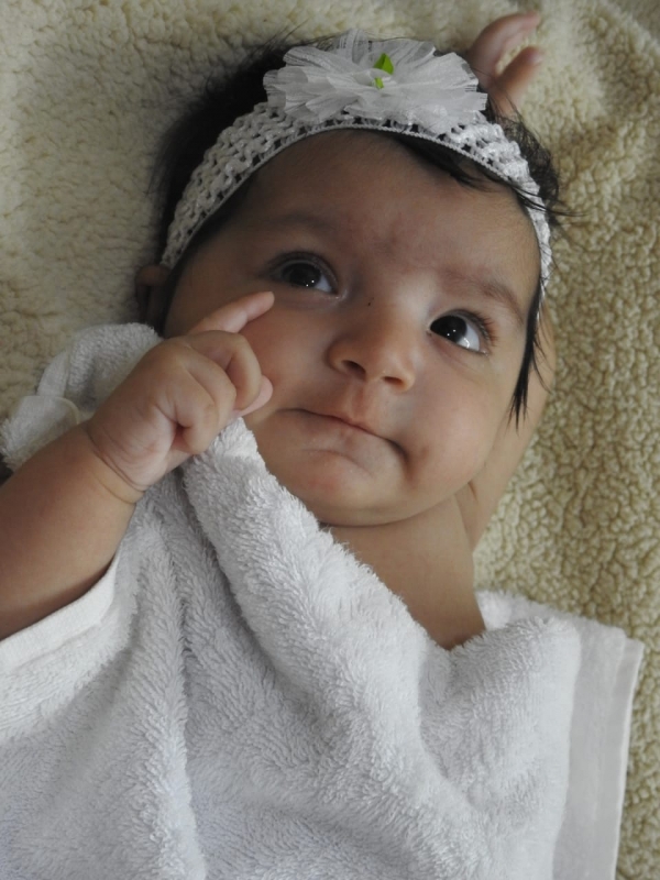 Neeva