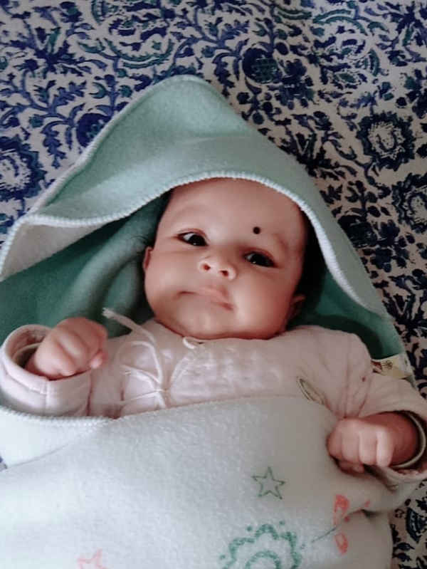 Aadvik