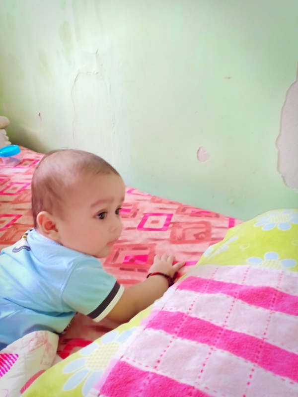 Anvit