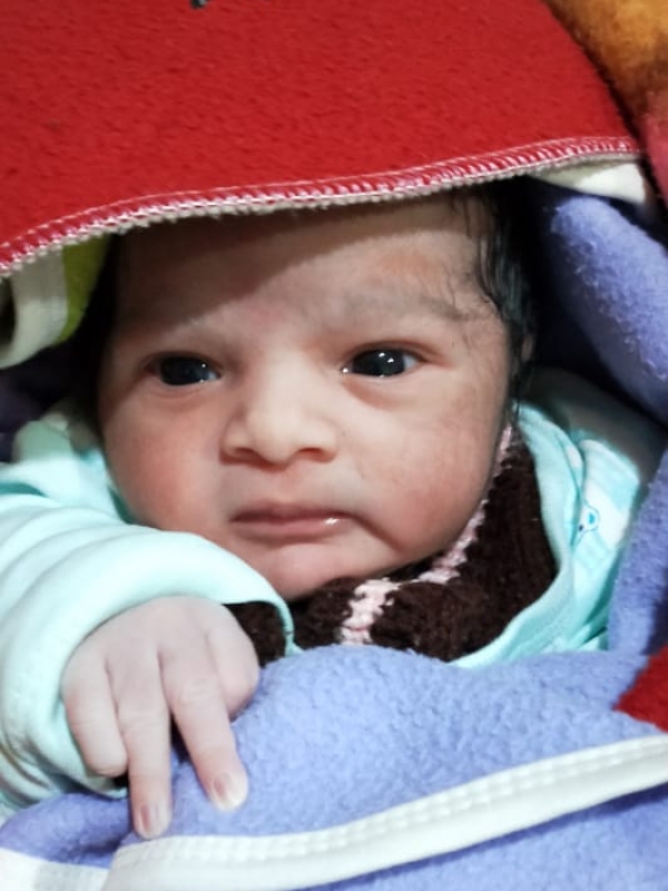 Arnav