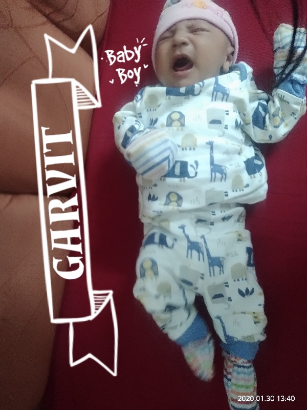 Garvit