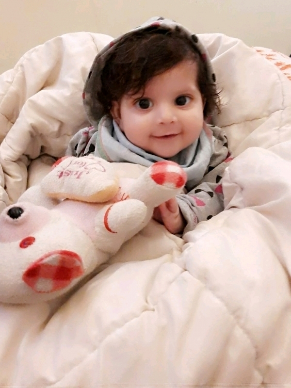 Pakhi