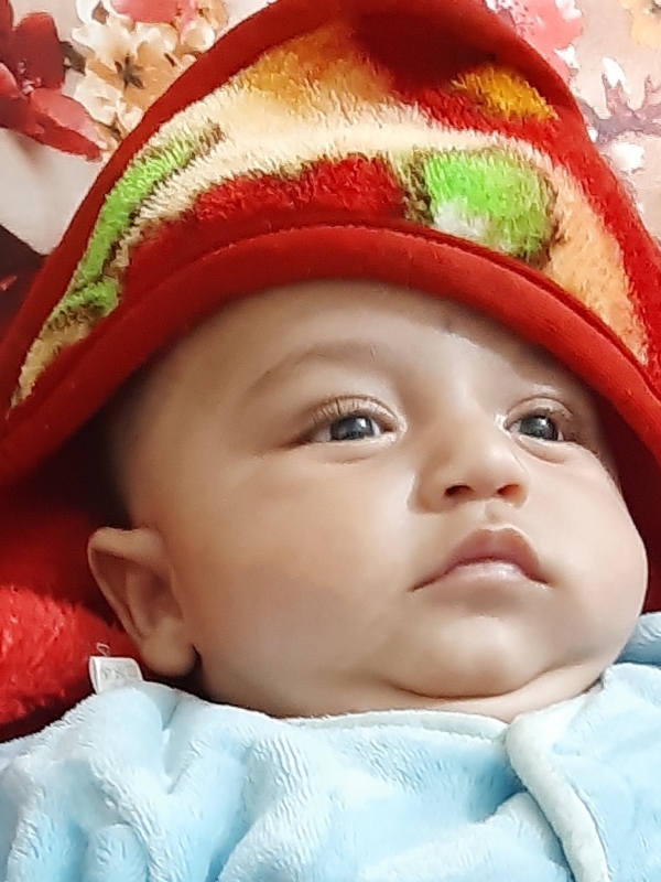 Manvik