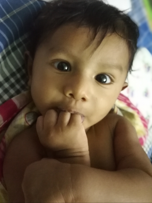 Aadvik