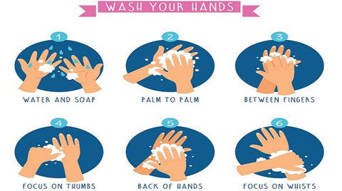 Best Way to Wash Hands Best Way to Wash Hands