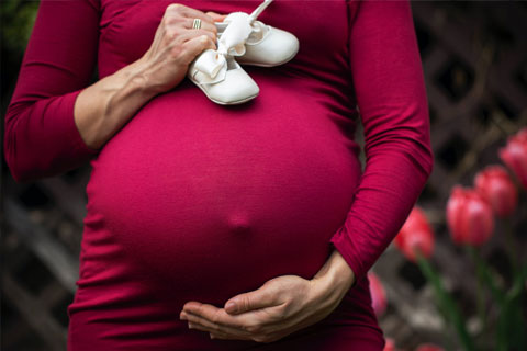 Blood Circulation during Pregnancy