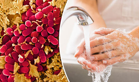 germs can be killed through hand washing
