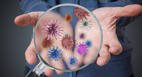How many germs are found on hands How many germs are found on hands