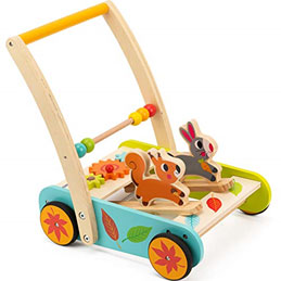 Push Toys