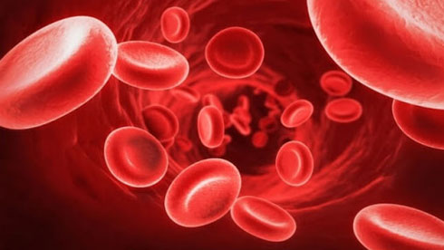 Haemoglobin during Pregnancy Haemoglobin during Pregnancy