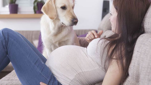 pets during pregnancy