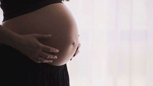 trimester of pregnancy
