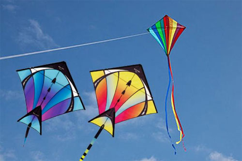 Celebrating Kite Flying Festival - Makar Sankranti