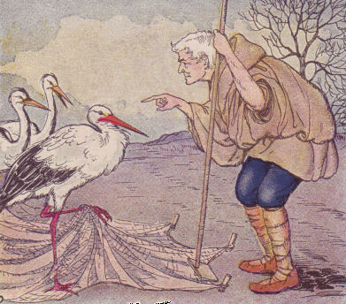 The Farmer and the Stork