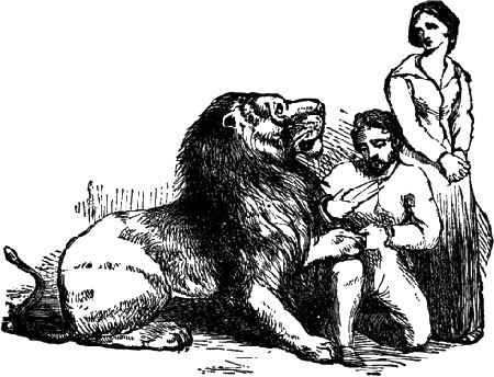 The Lion in Love