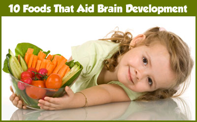 baby brain development food