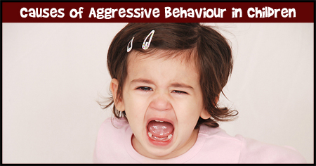 Aggressive Behaviour in Children