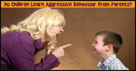 Do Children Learn Aggressive Behaviour From Parents
