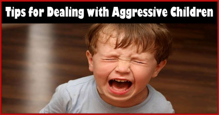 Handling an Aggressive Child