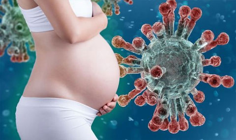 Coronavirus Risk During Pregnancy Coronavirus Risk During Pregnancy