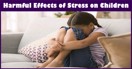 Harmful Effects of Stress on Children