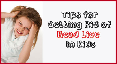 How to Deal With Head Lice and Nits in Kids