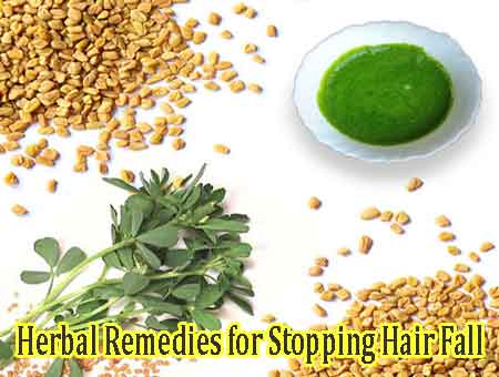 Herbal Remedies for Stopping Hair Fall