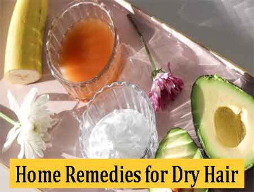 Home Remedies for Dry Hair Home Remedies for Dry Hair