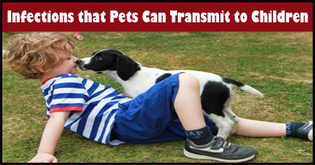 Infections that Pets Can Carry to Children
