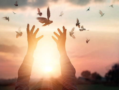 Learn the Art of Forgiving and Letting Go Learn the Art of Forgiving and Letting Go