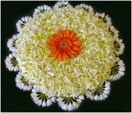 Making Rangoli