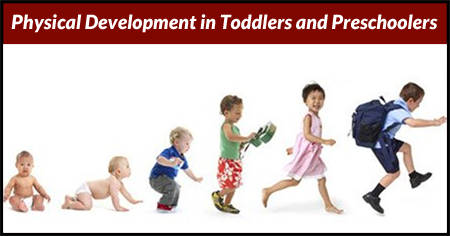 Physical Development in Toddlers and Preschoolers