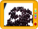 Birthstone of Capricorn