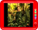 Earth  An Astrology Element