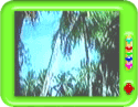 Uses of coconut