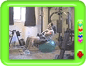 Exercise for obtaining a perfect body